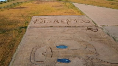 El artista Dario Gambarin convierte un campo de cultivo en un retrato gigante del Pato Donald