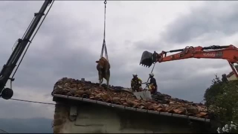 Los Bomberos rescatan a dos vacas de un tejado en Cantabria