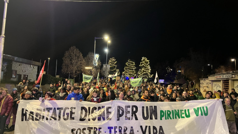 Manifestació a La Seu d'Urgell per un habitatge digne al Pirineu.