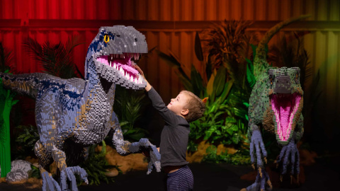 Un niño toca las esculturas de dos velociraptores construidas con piezas Lego: Foto: Anna Kucera, cedida por Proactiv Entertainment