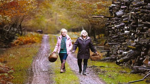 Michelle, una abuela enérgica, vive una jubilación tranquila en un pueblecito de Borgoña. Su vida cambia cuando, estresada por la visita de su hija, le cocina unas setas silvestres tóxicas. Todo lo que acontece después parece fruto del infortunio, pero la sombra de la duda crece cuando conoce al hijo de su mejor amiga Marie-Claude, que acaba de salir de prisión. 

Cuando cae el otoño (Quand vient l'automne), el nuevo film de François Ozon ha ganado la Concha de Plata a mejor interpretación de reparto (Pierre Lottin) y el Premio del Jurado a mejor guion en la 72 edición del Festival Internacional de Cine de San Sebastián.  

Protagonizada por Hélène Vincent, Josiane Balasko, Ludivine Sagnier y Pierre Lottin.

Fecha de estreno en España: 13 de diciembre

#CuandoCaeElOtoño