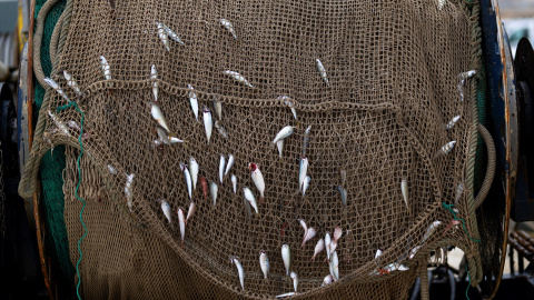 Materiales de pesca en el Puerto de Arenys, a 11 de diciembre de 2024, en Arenys de Mar, Barcelona, Catalunya.