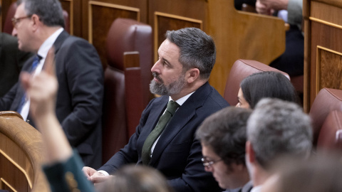 El líder de Vox, Santiago Abascal, durante una sesión plenaria, a 12 de diciembre de 2024, en Madrid (España).