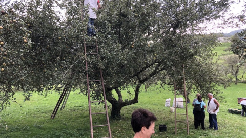 2019_IBARBI-ELKARTEA_LEHENENGO-IBILALDIA-148 Aire Libre Invierno: Manzanas, brezos y quesos hasta Carnaval