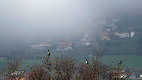 Los cielos nubosos con bancos de niebla en Asturias, a 26 de diciembre de 2024.