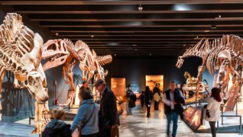 Exposición Dinosaurios de la Patagonia en CaixaForum Madrid.