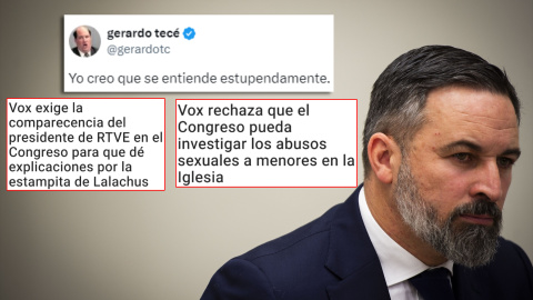 Montaje con el tuit de Gerardo Tecé sobre Vox.