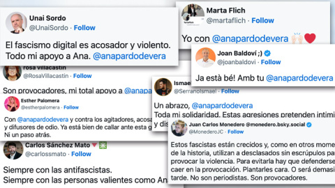 Reacciones de apoyo a Ana Pardo de Vera y contra el "fascismo digital".