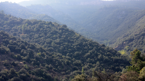 Pla general de l'entorn del Bosc de Poblet, a les Muntanyes de Prades