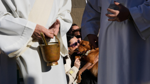 BARCELONA, 12/01/2025.- El párroco de la Iglesia de San Andreu Palomar bendice a los animales durante la tradicional cabalgata de los Tres Tombs este domingo en Barcelona. Los actos por el bicentenario de esta tradición se alargarán durante todo 2025. Los Tres Tombs se celebran con motivo de la festividad en honor a San Antonio Abad, patrón de los animales domésticos. EFE/ Alejandro Garcia