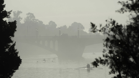 Niebla abundante en Sevilla, con temperaturas mínimas en ascenso.