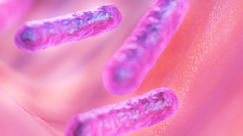 Microbiota