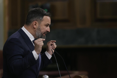  El líder de Vox, Santiago Abascal durante la sesión plenaria en el Congreso este miércoles. EFE/ Emilio Naranjo