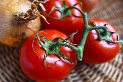 Tomates para pipirrana malagueña