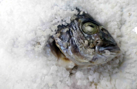 Dorada cocinada con cubierta de sal.