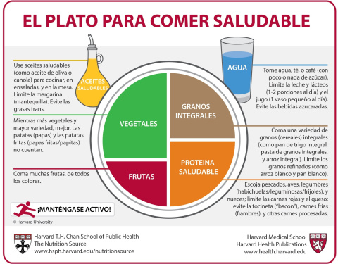  Derechos de autor © 2011 Universidad de Harvard. Para más información sobre El Plato para Comer Saludable, visite la Fuente de Nutrición, Departamento de Nutrición, Escuela de Salud Pública de Harvard, https://www.thenutritionsource.org y 