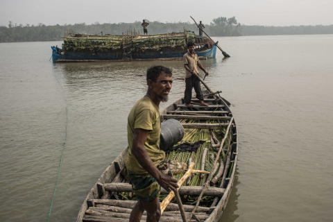  Habitantes de la aldea de Kalabogi, en el Sundarbans de Bangladés, salen a la pesca de cangrejos. Las capturas son cada vez menores debido al aumento de la salinidad de las aguas.- JAIRO VARGAS