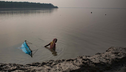  Una mujer atrapa cangrejos en la orilla del río, con los manglares al fondo. El manglar es una barrera natural contra fenómenos climáticos y fuente de alimentos y biodiversidad.- JAIRO VARGAS