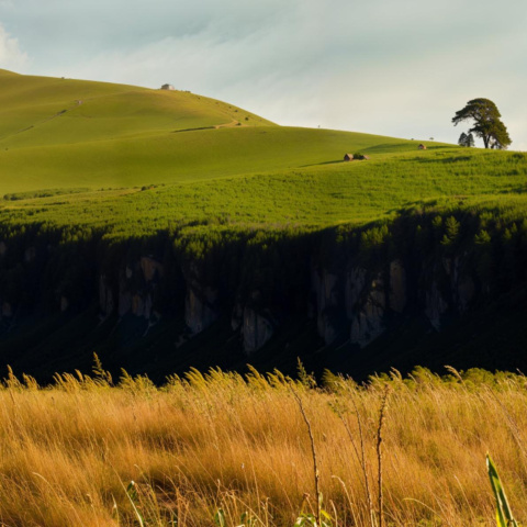 Sam marchado Sam marchado.