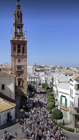 Manifestación en Carmona.