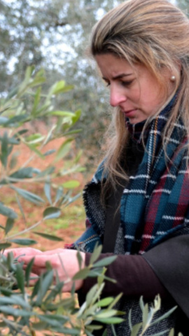 Fotografía de Marina observando las olivas. - CEDIDA