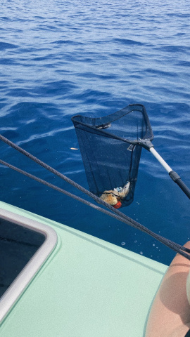 Recogiendo plásticos del Mediterráneo.