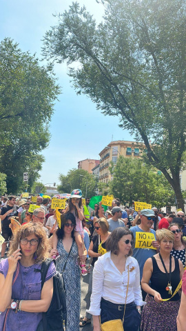 Imagen de la manifestación contra la tala de árboles consecuencia de las obras de ampliación de la línea 11 de Metro.