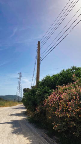 Tendido eléctrico del Parque Natural de Ses Salines. - Mila García Nogales