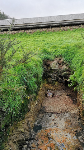 Vertidos en el exterior de una granja de visones en Galicia.