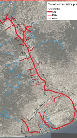 Corredors faunístics principals que estableix l'estudi