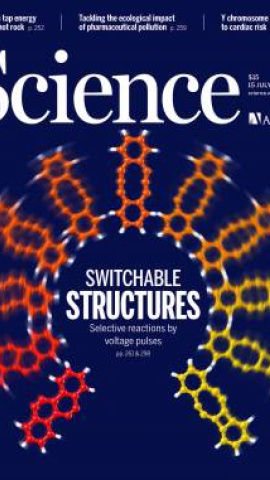 El estudio es portada de la revista ‘Science’