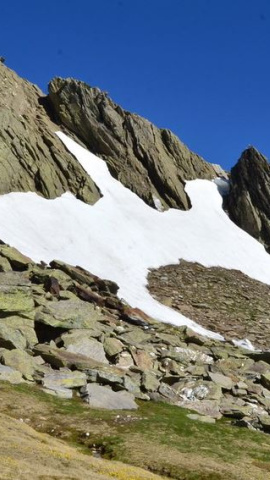 Pico de Lobo