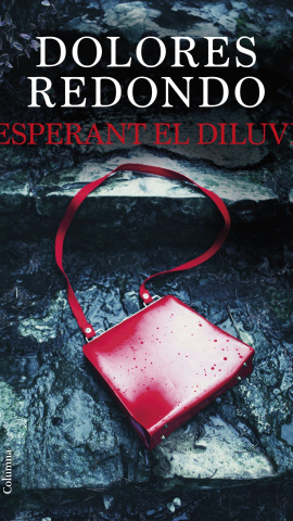 Portada 'Esperant el diluvi'