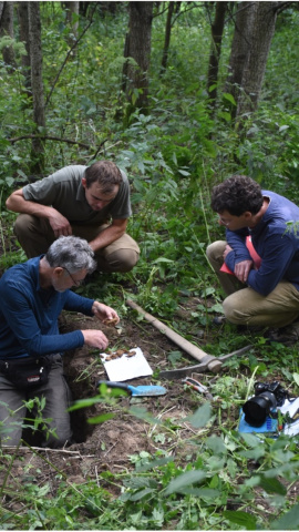 El equipo de investigación realiza trabajo de campo en uno de los bosques analizados.