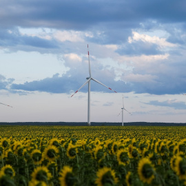 Un parque eólico junto a un campo de girasoles en las afueras de Ulyanovsk, Rusia. REUTERS/Maxim Shemetov