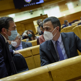 El ministro de Asuntos Exteriores, José Manuel Albares (i) y el presidente del Gobierno, Pedro Sánchez (d), durante una sesión de control al Gobierno en el Senado. E.P./Jesús Hellín