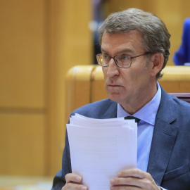 El líder del PP, Alberto Núñez Feijóo, en el pleno del Senado, en su cara a cara con el presidente del Gobierno, Pedro Sánchez. EFE/ Fernando Alvarado