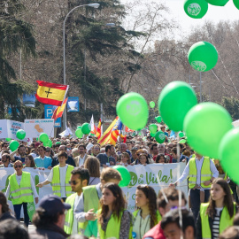  Varias personas marchan hacia la Plaza de Cibeles, en la concentración ‘Sí a la vida’.Jesús Hellín / Europa Press