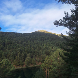 Paisaje de Casa de Campo.- Noelia Adánez