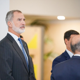  El Rey Felipe VI a su llegada a la inauguración de la Conferencia Internacional de Naciones Unidas sobre víctimas del terrorismo, en el Palacio de Congresos de Europa. Iñaki Berasaluce / Europa Press