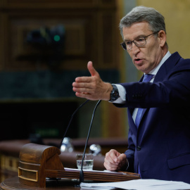 El líder del PP, Alberto Núñez Feijóo, interviene este miércoles en el Congreso, donde el presidente del Gobierno, Pedro Sánchez ha presentado el plan de calidad democrática. / EFE - Zipi Aragon