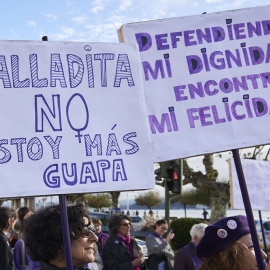 Pancartas de la manifestación del 25N en Santander.. EUROPA PRESS/C. Ortiz