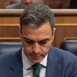 Pedro Sánchez en el Congreso de los Diputados. Eduardo Parra / Europa Press