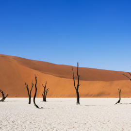 'Reuinas del tiempo'. Foto: Tim Snell / CC BY-ND 2.0