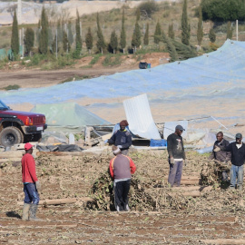 Invernaderos en Nijar (Almería) afectado por el temporal Gloria. Almería a 30 de enero del 2020. Foto: Rafael González / Europa Press