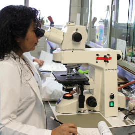 Laboratorio