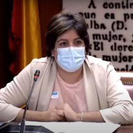  Maribel Cáceres, miembro de la Junta Directiva de Plena inclusión España, durante su reciente intervención en el Senado.- SEÑAL DEL CONGRESO