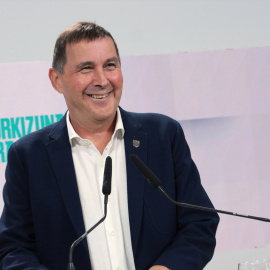  El coordinador general d'EH Bildu, Arnaldo Otegi. Unanue / Europa Press