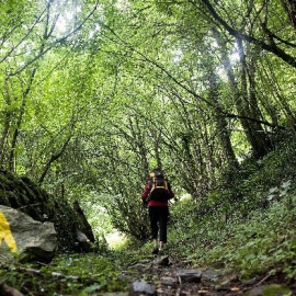 Peregrina en el Camino de Santiago. / EFE