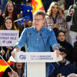 Feijóo durante la manifestación del pasado domingo en Madrid. - PP